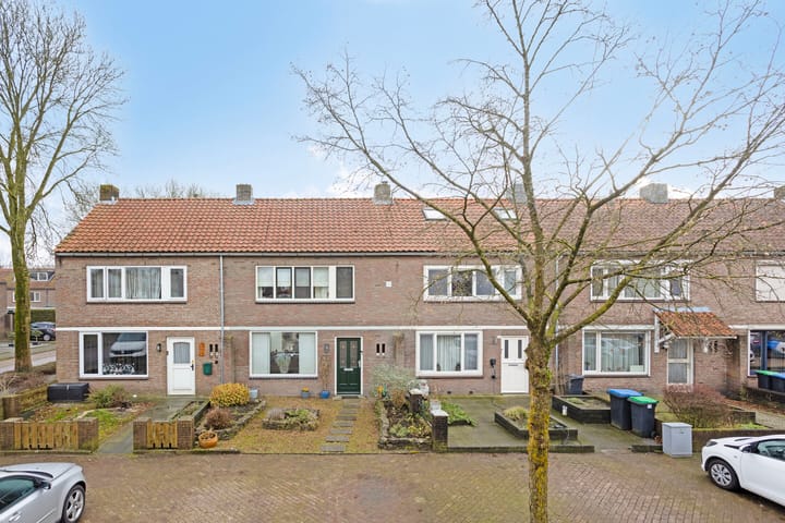 undefined main image