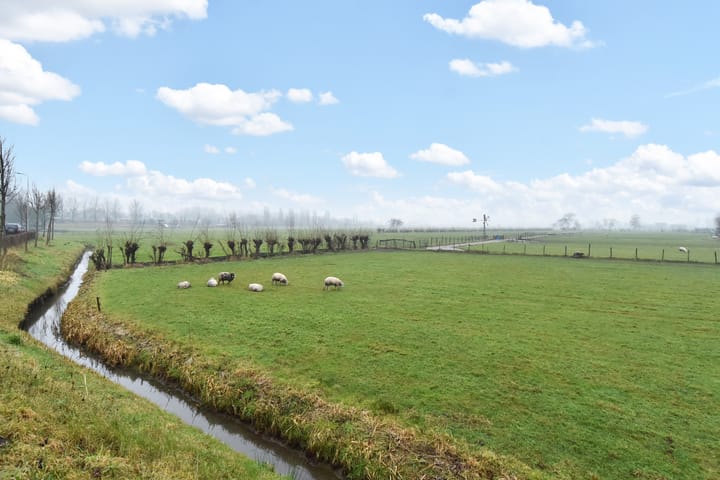 Photo 31 of Miening 20