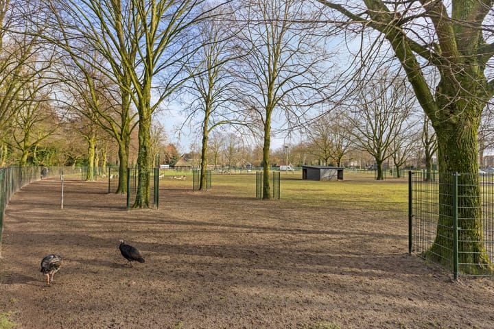 Photo 34 of Ranonkellaan 54-1