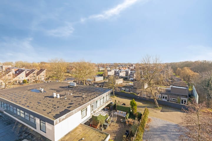 Foto 19 van Thamerhorn 53