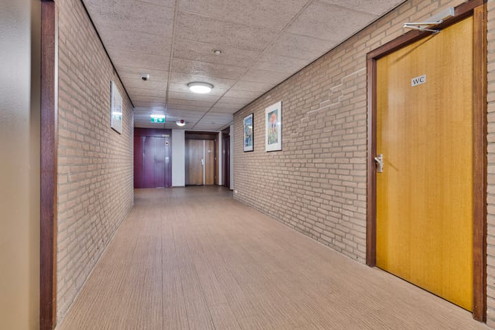 Foto 6 van Thamerhorn 53