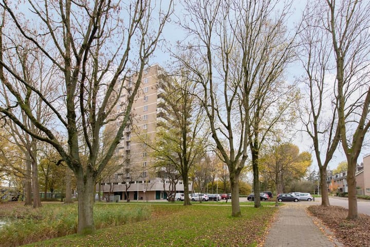 Foto 30 van Graaf Janstraat 142