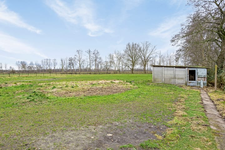 Foto 29 van Wijststraat 4