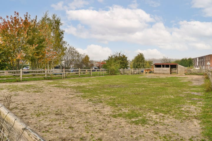 Foto 44 van Mazustraat 28