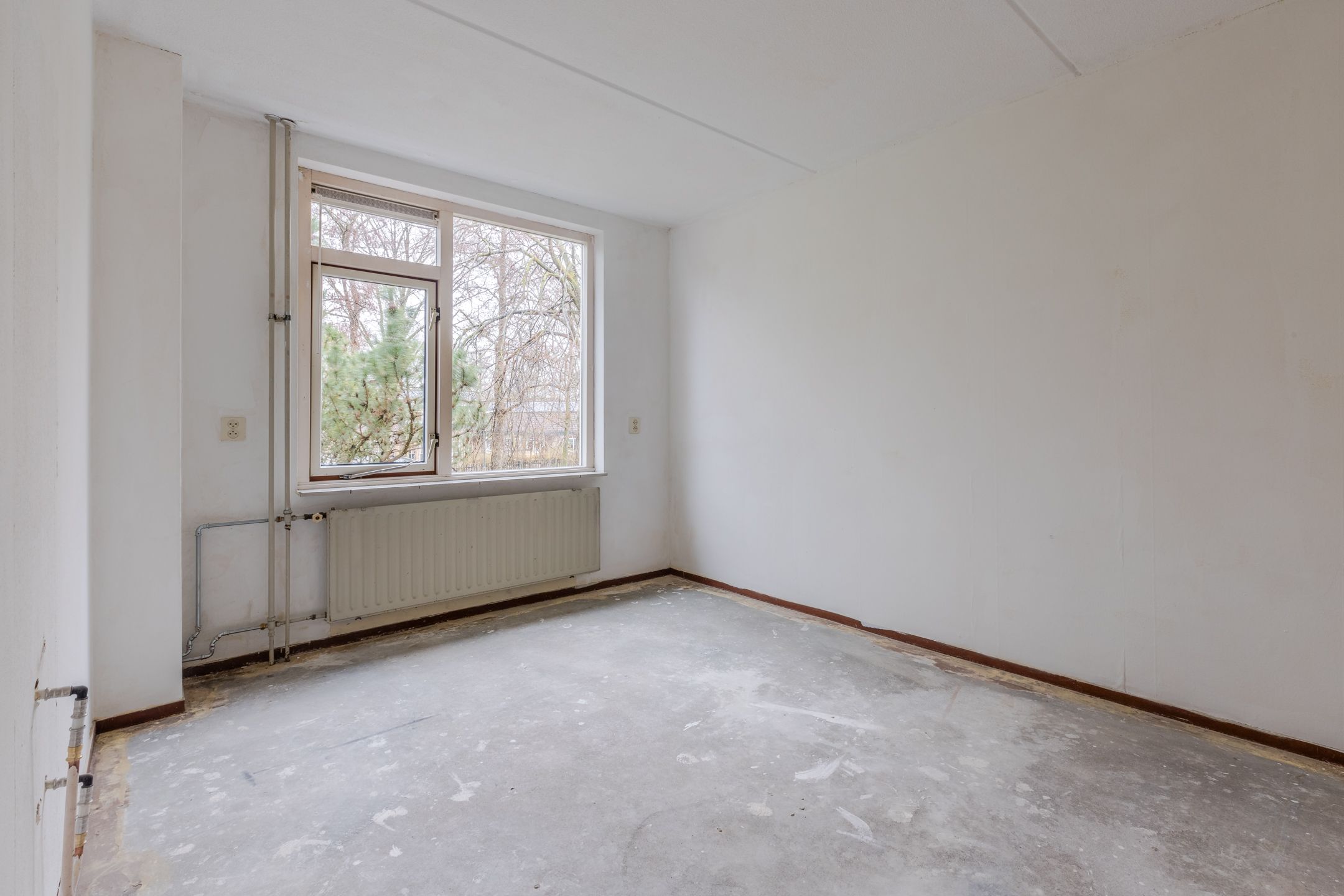 Foto 12 van Reiger 83