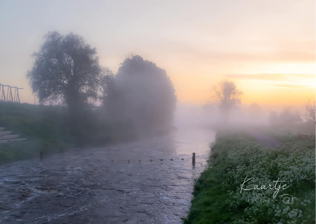 Foto 40 van Visotter 22