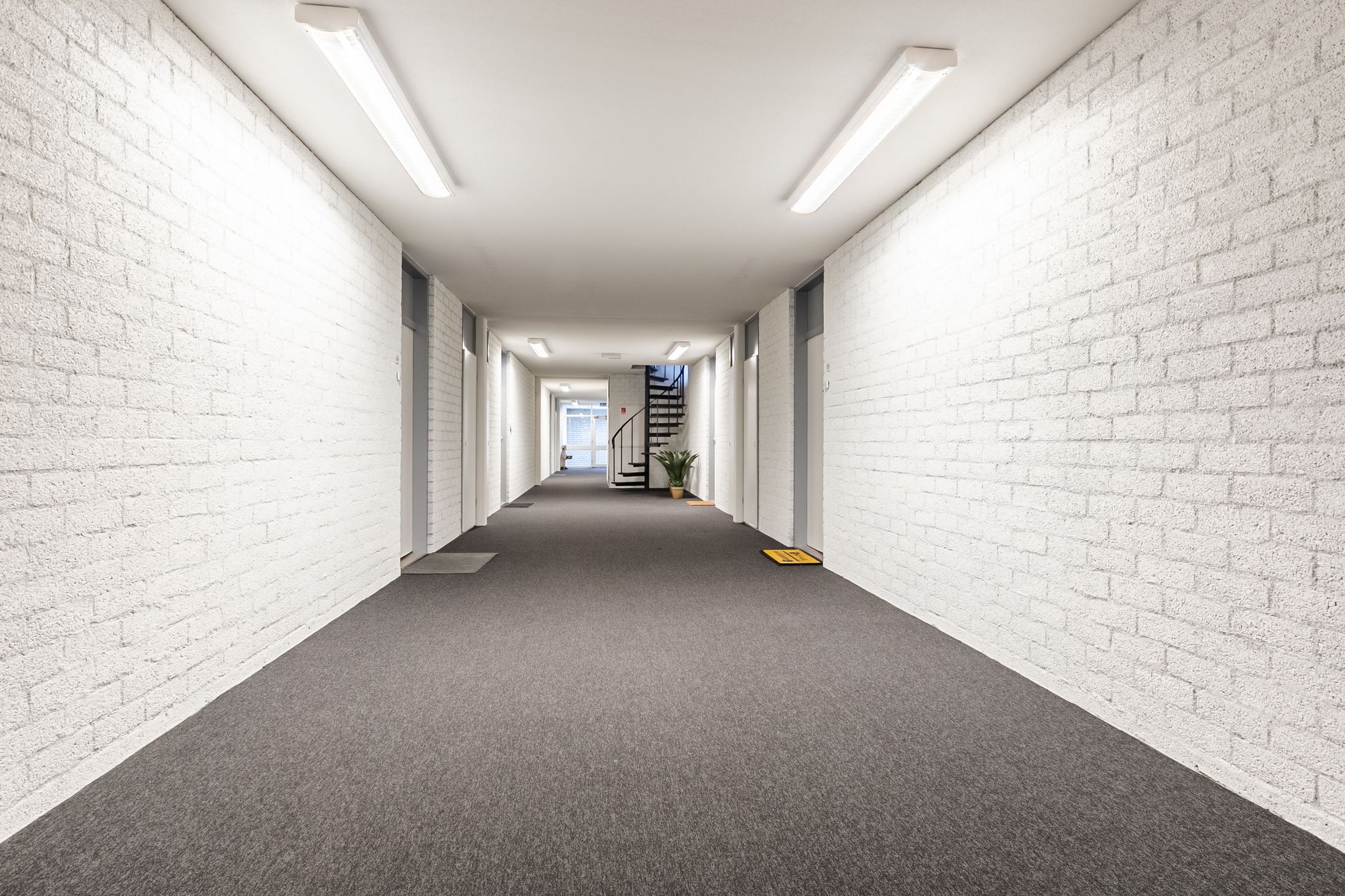 Foto 6 van Witte de Withlaan 33