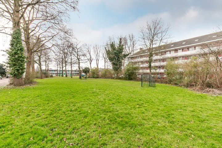 Foto 28 van Witte de Withlaan 33