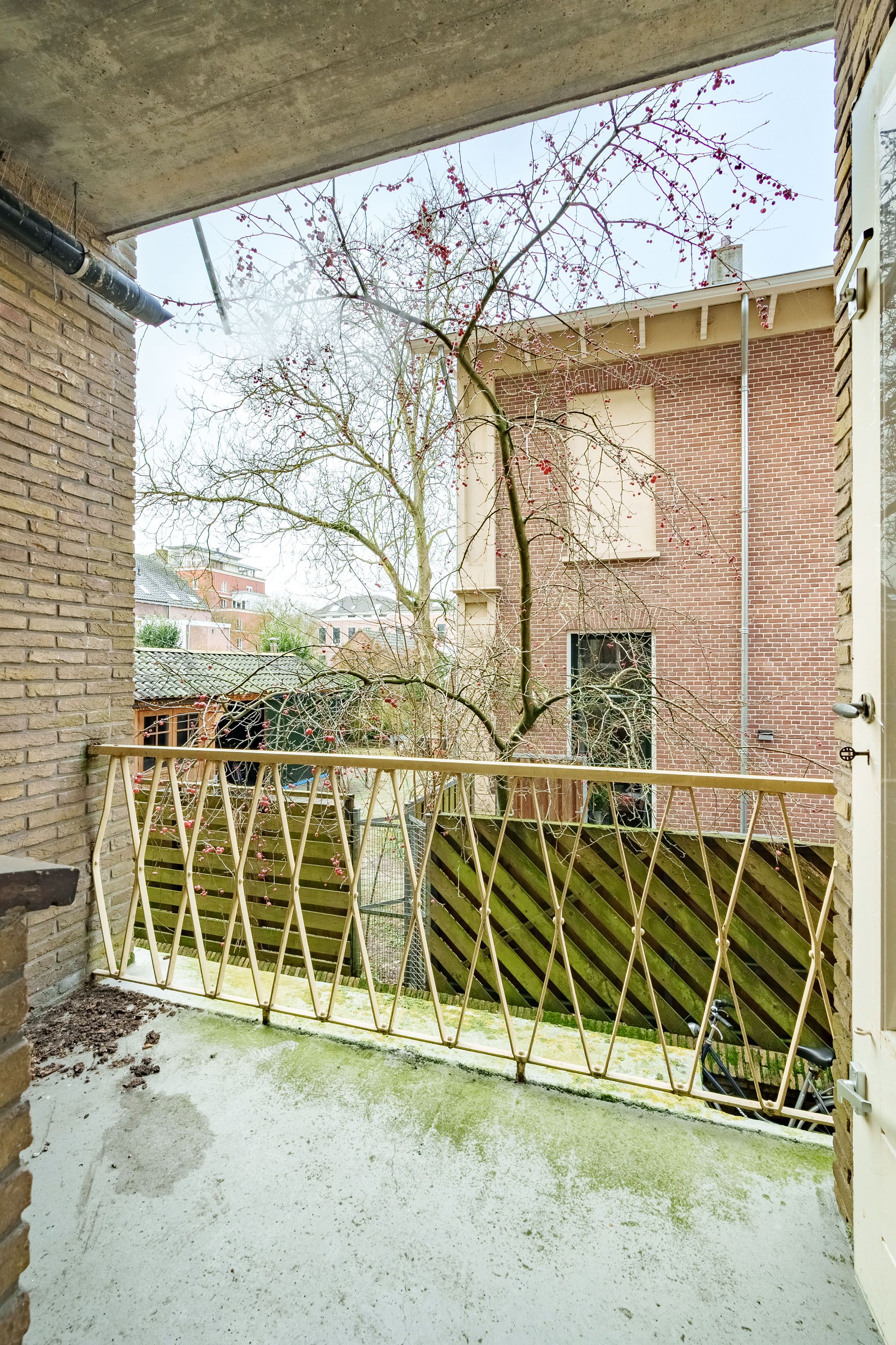 Foto 21 van Dijkstraat 6