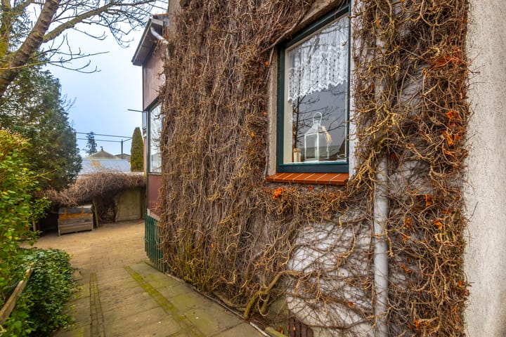 Foto 33 van Buitendams 383