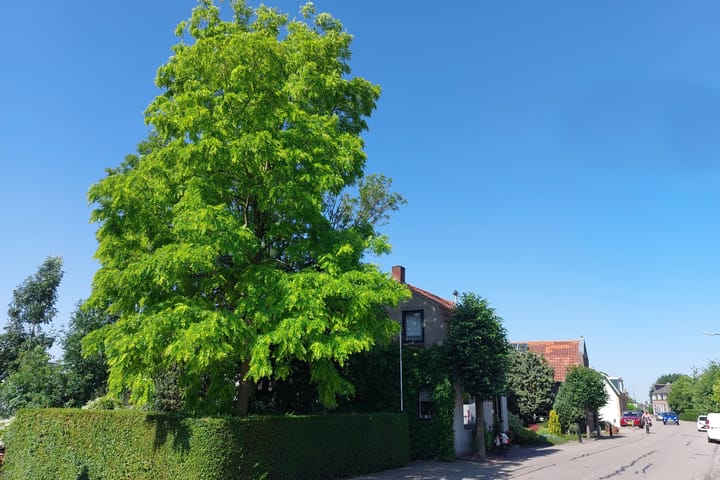 Foto 37 van Buitendams 383