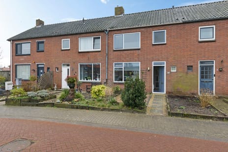 undefined main image