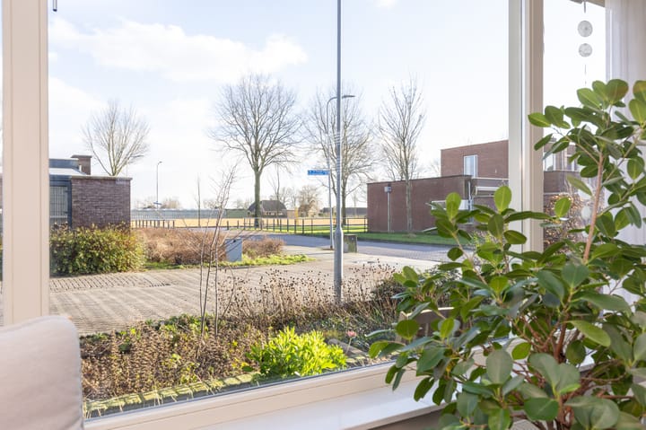 Foto 15 van De Stad Riga 21