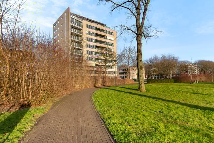 Foto 32 van Zonnedauw 43