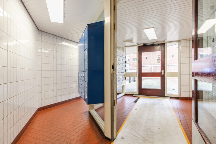 Foto 5 van Koolmeesstraat 4