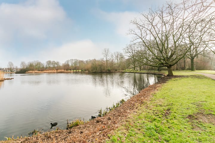 Foto 34 van Koolmeesstraat 4