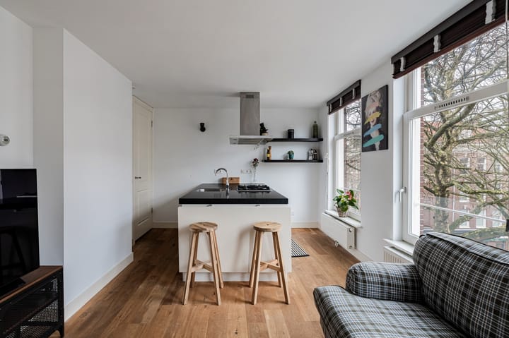 Foto 3 van Frans Halsstraat 80-A