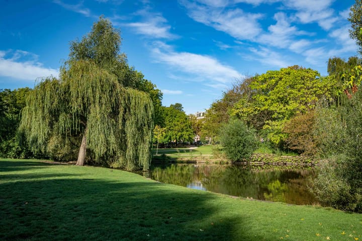 Foto 20 van Frans Halsstraat 80-A