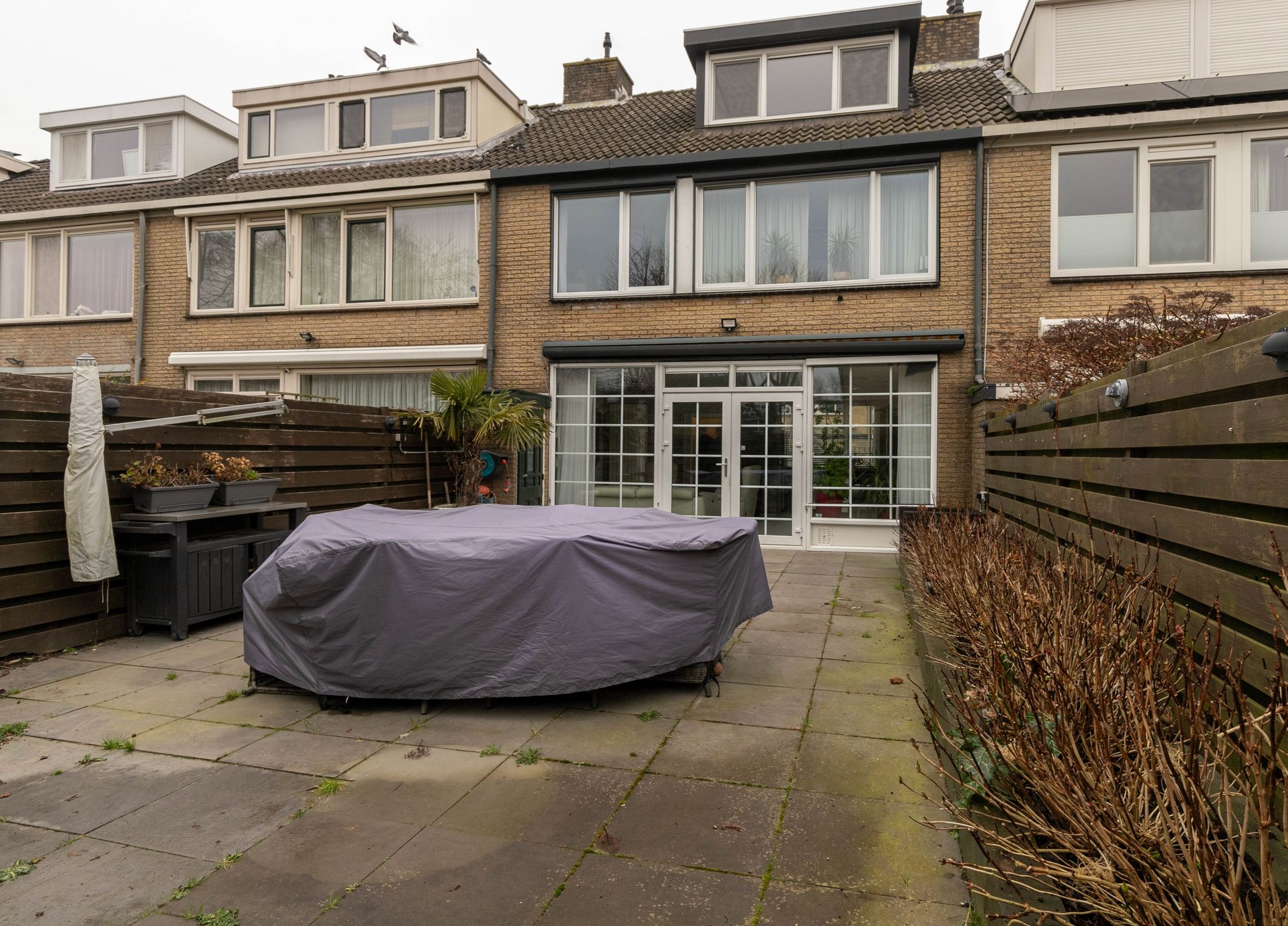 Photo 15 of Graan voor Visch 15906