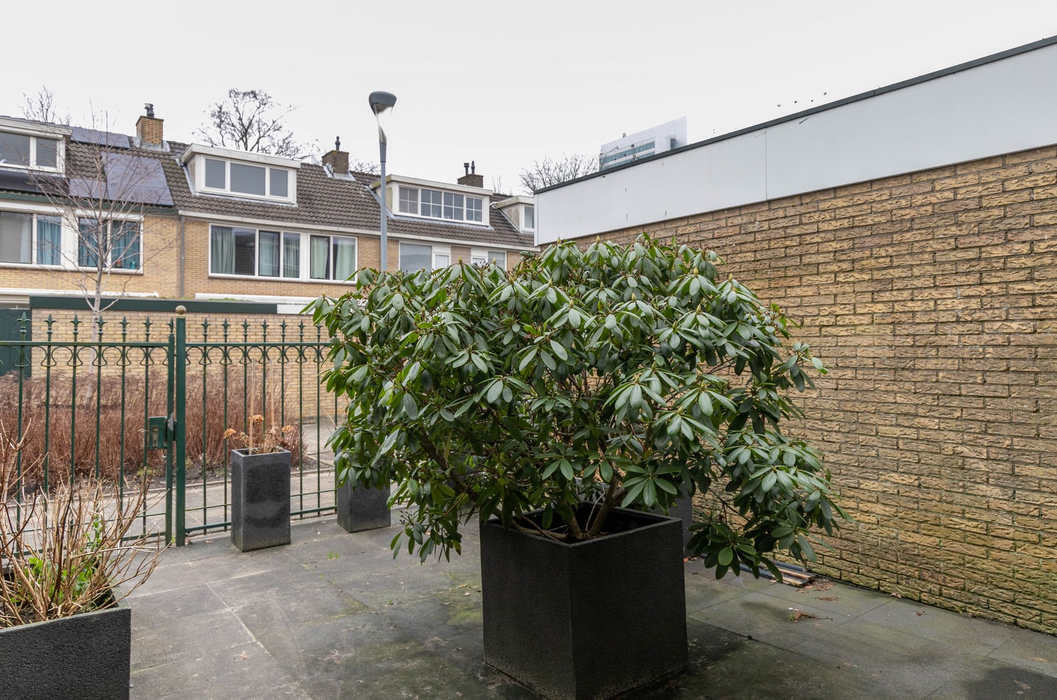 Photo 33 of Graan voor Visch 15906