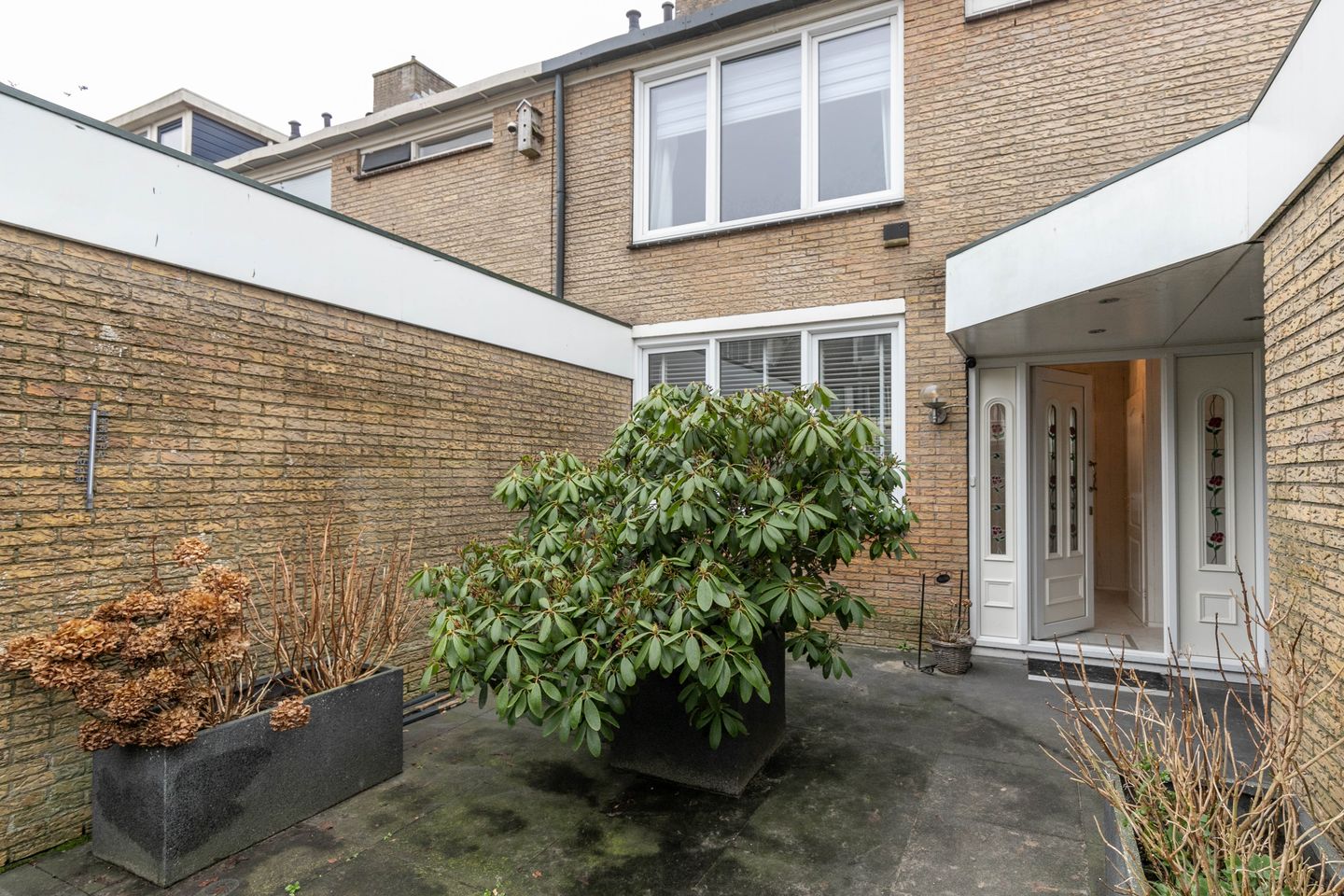 Photo 34 of Graan voor Visch 15906