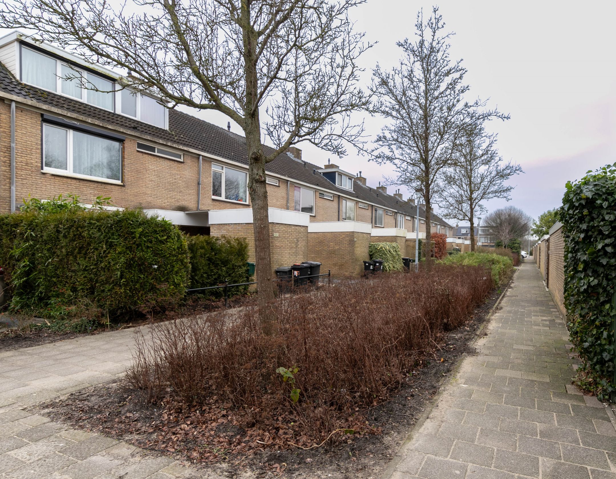 Photo 36 of Graan voor Visch 15906