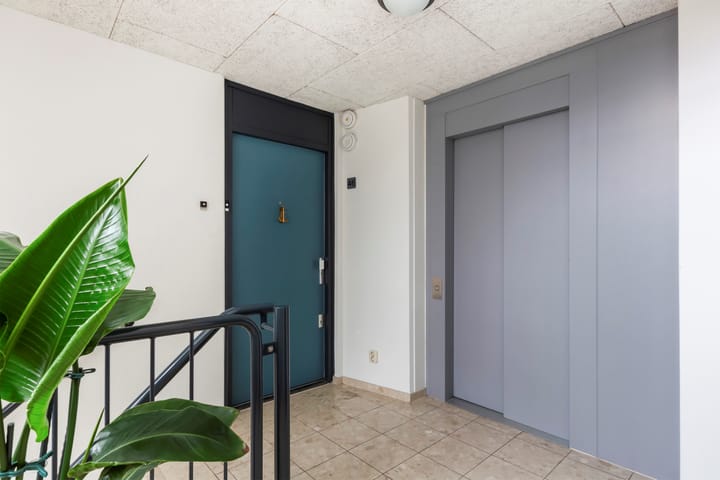 Foto 8 van Tuin van Schellinger 46