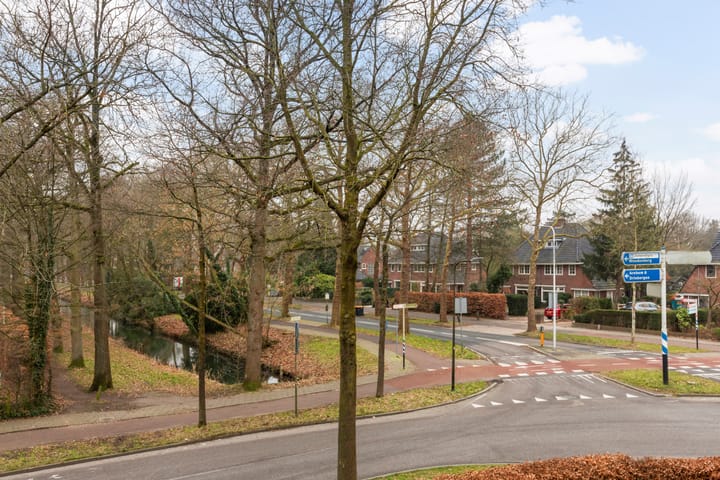 Foto 17 van Tuin van Schellinger 46