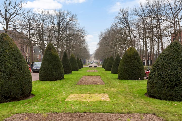 Foto 43 van Tuin van Schellinger 46