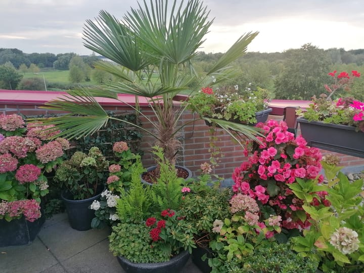 Foto 21 van De Hoge Bogerd 173