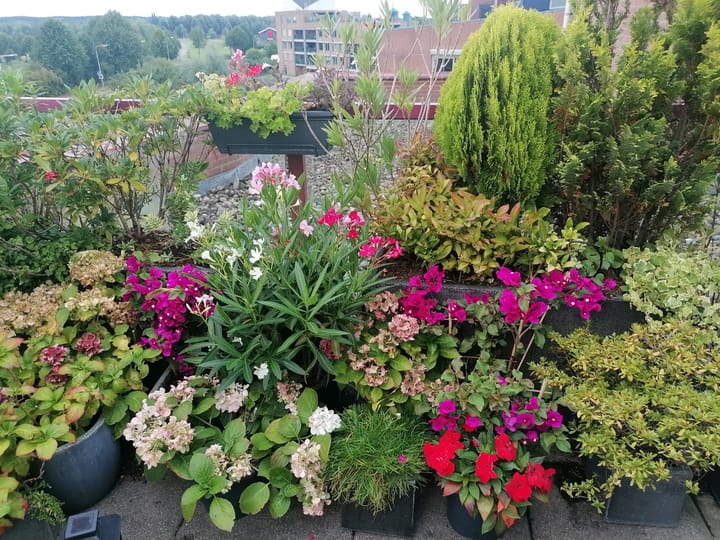 Foto 22 van De Hoge Bogerd 173