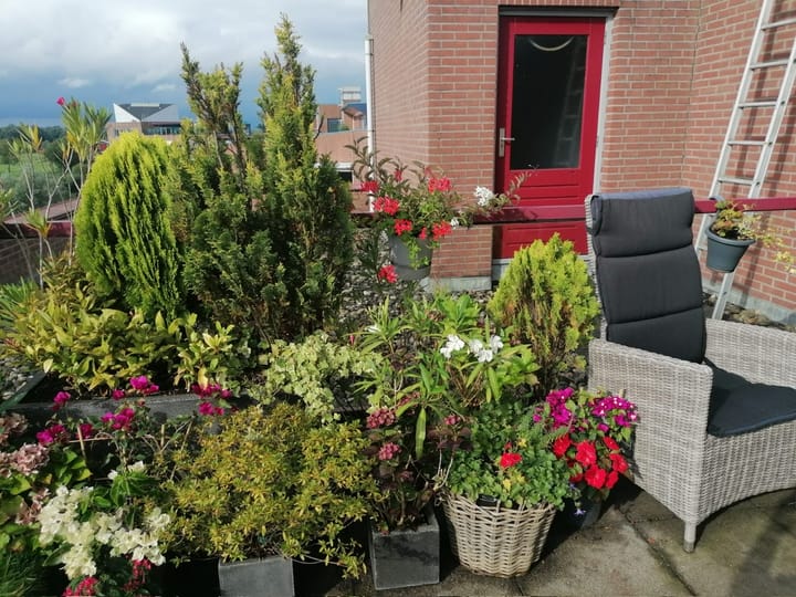 Foto 25 van De Hoge Bogerd 173