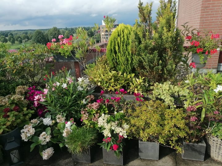 Foto 26 van De Hoge Bogerd 173