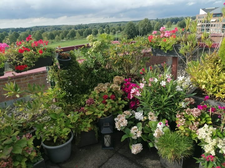 Foto 27 van De Hoge Bogerd 173