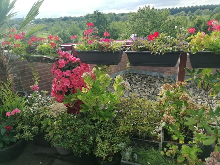 Foto 28 van De Hoge Bogerd 173