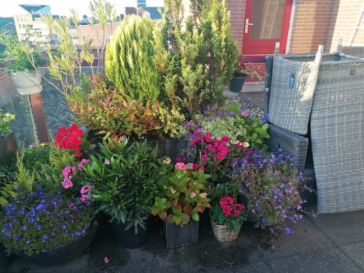 Foto 29 van De Hoge Bogerd 173