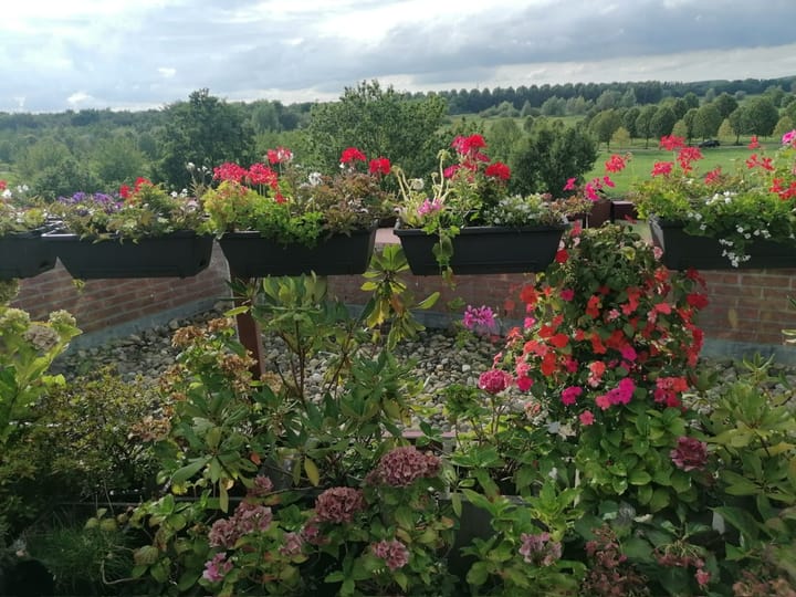 Foto 31 van De Hoge Bogerd 173