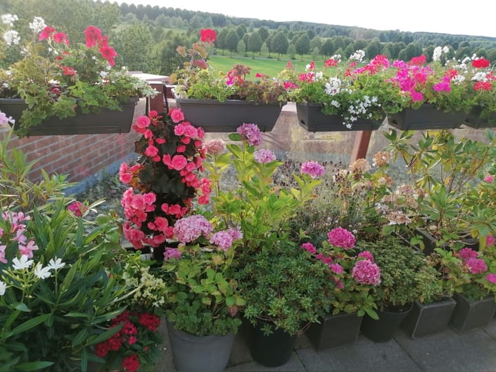 Foto 32 van De Hoge Bogerd 173