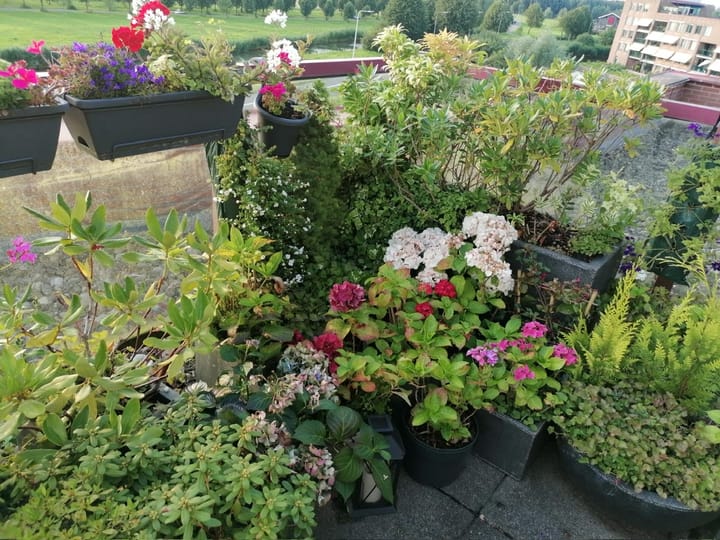 Foto 33 van De Hoge Bogerd 173