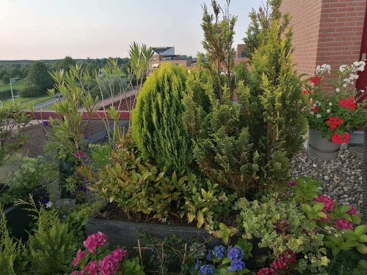 Foto 35 van De Hoge Bogerd 173