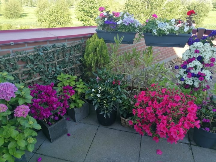 Foto 36 van De Hoge Bogerd 173