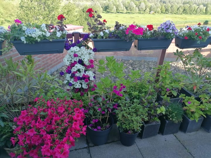 Foto 37 van De Hoge Bogerd 173