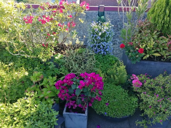 Foto 38 van De Hoge Bogerd 173