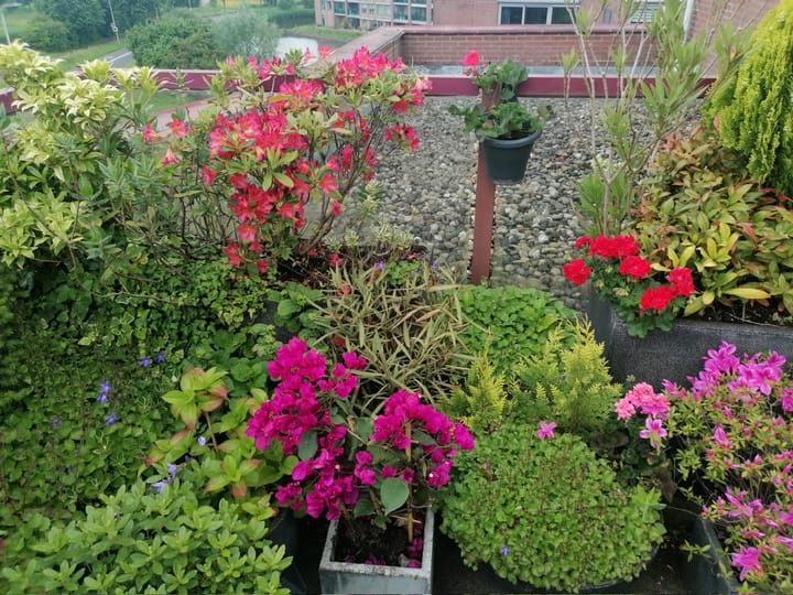 Foto 40 van De Hoge Bogerd 173