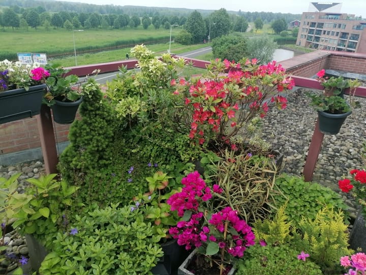 Foto 41 van De Hoge Bogerd 173