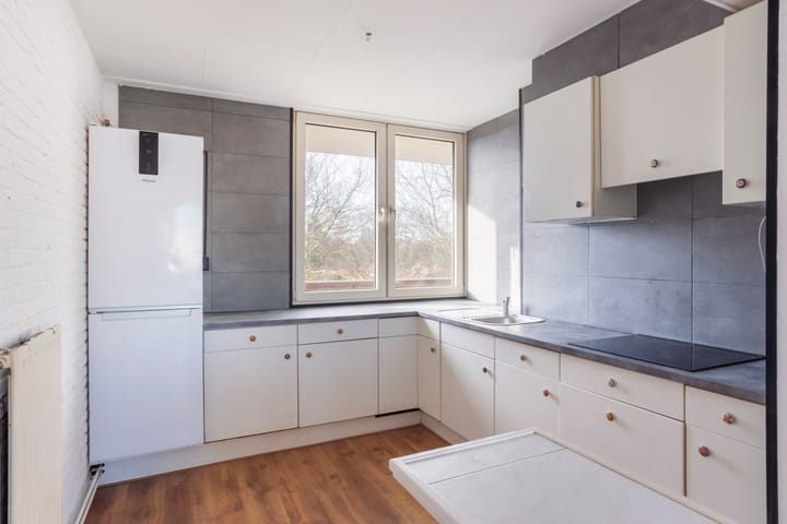 Foto 6 van Vrijheidsdans 24