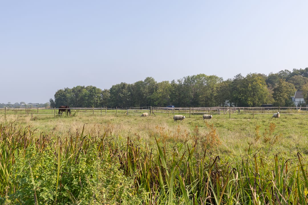 Foto 62 van Achterweteringseweg 26