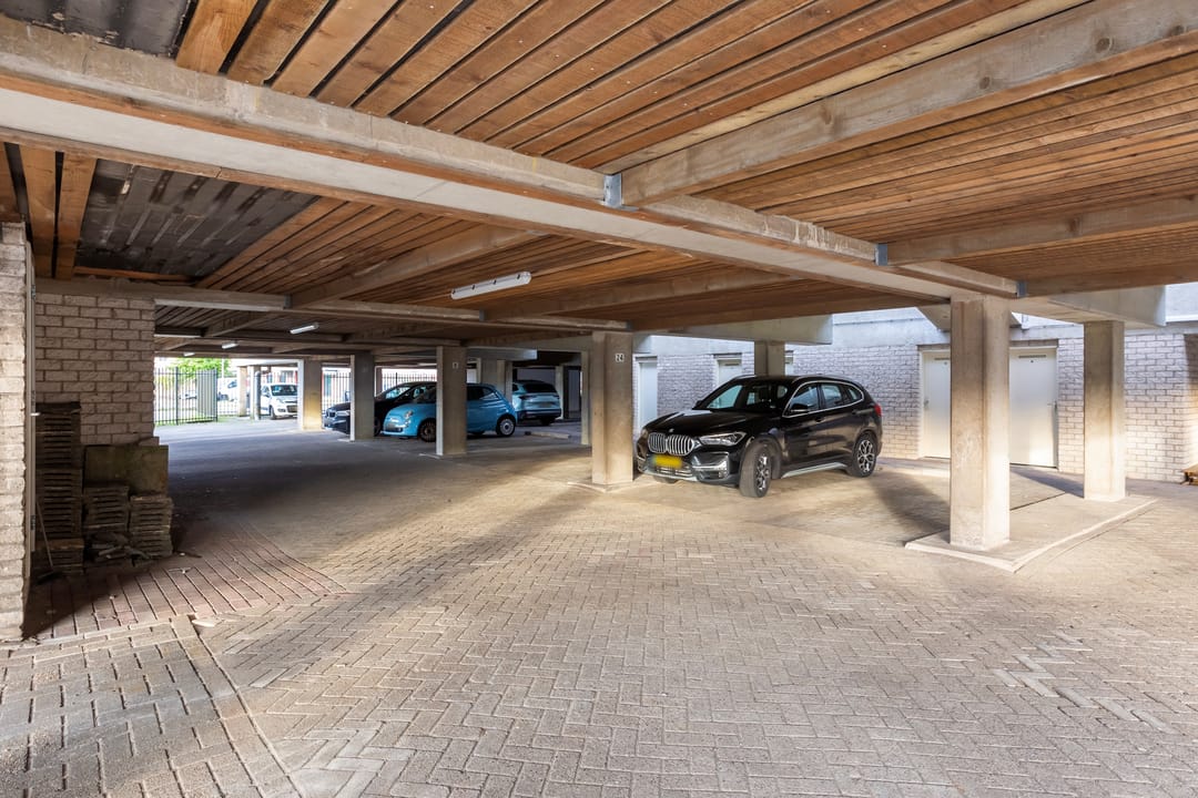 Foto 13 van Vrijheidsdans 24