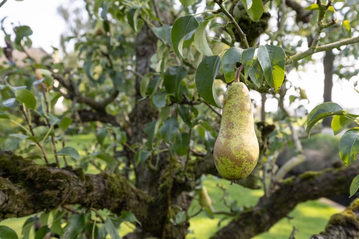 Foto 77 van Achterweteringseweg 26