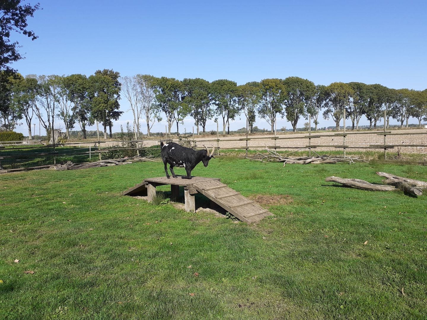 Photo 4 of Sluisweg 14